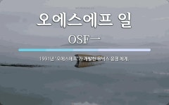 주식회사 오에스케이에프앤지 | 오에스에프 일 뜻: 1991년 ‘오에스에프’가 개발한 유닉스 운영 체계.