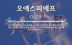 주식회사 오에스케이에프앤지 | 오에스피에프 뜻: 인터넷의 멀티미디어 프로토콜 표준 후보로, 인터넷 통신 규약 통신망의 경로 지정 통신 규약