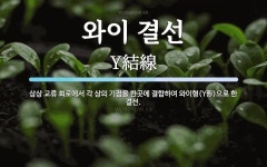 한송정제기점 | 와이 결선 뜻: 삼상 교류 회로에서 각 상의 기점을 한곳에 결합하여 와이형(Y形)으로 한 결선.