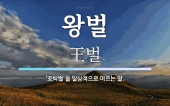 왕벌노래주점 | 왕벌 뜻: ‘호박벌’을 일상적으로 이르는 말.
