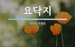 요닥지 뜻: ‘요다지’의 방언