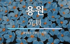 용안이용원 | 용원 뜻: 쓸데없는 인원이나 직원.