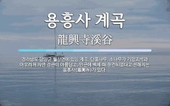 Naver search result photo 1