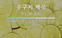 우구치리마을회민박 | 우구치 계곡 뜻: 경상북도 봉화군 춘양면에 있는 계곡. 물이 맑고 깨끗하며, 주변에 산림이 우거져 경치가 아