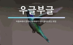 우글부글 뜻: 마음속에서 분이나 화 따위가 자꾸 끓어오르는 모양.