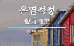 은염적정 뜻: ‘은법 적정’의 북한어.