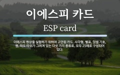 이에스피 카드 뜻: 이에스피 현상을 실험하기 위하여 고안된 카드. 사각형, 별표, 덧셈 기호, 원, 파도 따위