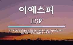 이에스피 뜻: 에너지 절감, 발전, 공급 및 위험 관리 따위를 포함하여 광범위한 에너지 설루션을 제공하는