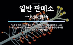 일반 판매소 뜻: ‘석유 및 석유 대체 연료 사업법 시행령’에서, 석유 정제업자, 석유 수출입업자 또는 일반