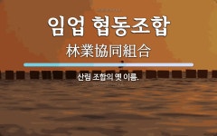 임업 협동조합 뜻: 산림 조합의 옛 이름.