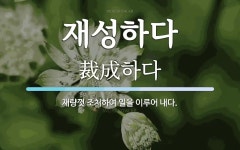 재성하다 뜻: 재량껏 조처하여 일을 이루어 내다.
