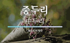 중두리 뜻: ‘중도리’의 방언