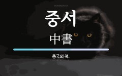 중서 뜻: 중국의 책.