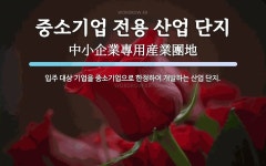 중소기업 전용 산업 단지 뜻: 입주 대상 기업을 중소기업으로 한정하여 개발하는 산업 단지.