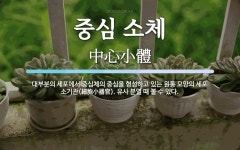 종성이네야채 | 중심 소체 뜻: 대부분의 세포에서 중심체의 중심을 형성하고 있는 원통 모양의 세포 소기관(細胞小器官). 유