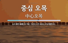 중심 오목 뜻: 눈의 황반(黃斑)의 부분. 이곳의 시각 세포는 추상체뿐이다.