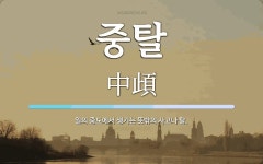 중탈 뜻: 일의 중도에서 생기는 뜻밖의 사고나 탈.