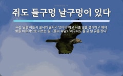 쥐도 들구멍 날구멍이 있다 뜻: 무슨 일을 하든지 질서와 절차가 있어야 하고 나중 일을 생각하고 해야 함을 비유적으로 이르