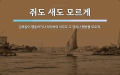 쥐도 새도 모르게 뜻: 감쪽같이 행동하거나 처리하여 아무도 그 경위나 행방을 모르게.