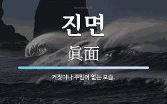 주식회사 진면가 | 진면 뜻: 거짓이나 꾸밈이 없는 모습.