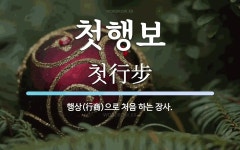 첫행보 뜻: 행상(行商)으로 처음 하는 장사.