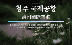 이디야 청주공군비행단점 | 청주 국제공항 뜻: 충청북도 청주시에 있는 국제공항. 1978년에 공군 비행장으로 처음 세워졌으며, 1997년