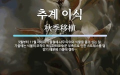 추계 이식 뜻: 9월부터 11월 사이의 가을철에 나무 따위의 식물을 옮겨 심는 일. 가을에는 식물의 조직이