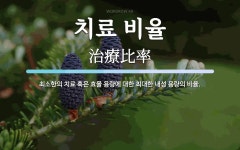 치료 비율 뜻: 최소한의 치료 혹은 효율 용량에 대한 최대한 내성 용량의 비율.