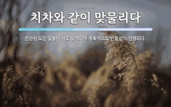치차와 같이 맞물리다 뜻: 연관된 모든 일들이 서로 밀착되어 계획적으로 빈틈없이 진행되다.