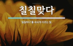 칠칠맞다 뜻: ‘칠칠하다’를 속되게 이르는 말.