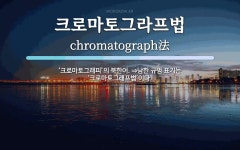 진마토그래피 | 크로마토그라프법 뜻: ‘크로마토그래피’의 북한어. ⇒남한 규범 표기는 ‘크로마토그래프법’이다.