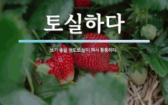 토실하다 뜻: 보기 좋을 정도로 살이 쪄서 통통하다.