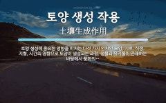 토양 생성 작용 뜻: 토양 생성에 중요한 영향을 미치는 다섯 가지 인자인 모암, 기후, 식생, 지형, 시간의 영