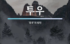투우 뜻: ‘토우’의 방언