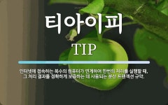 티아이피 뜻: 인터넷에 접속하는 복수의 컴퓨터가 연계하여 한번의 처리를 실행할 때, 그 처리 결과를 정확