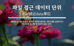 파일 접근 데이터 단위 뜻: 개방형 시스템 간 상호 접속에 관련된 용어로, 데이터를 전송하거나 데이터에 접근할 때 대상
