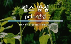 펄스 앞섬 뜻: 펄스의 위치가 기준 시점보다 앞에 있는 것.