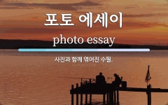 포토 에세이 뜻: 사진과 함께 엮어진 수필.
