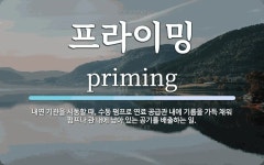 프라이밍 뜻: 내연 기관을 시동할 때, 수동 펌프로 연료 공급관 내에... 내에 프라이밍 뜻: 내연 기관을 시동할 때, 수동 펌프로 연료 공급관 내에...