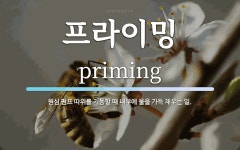 프라이밍 뜻: 원심 펌프 따위를 기동할 때 내부에 물을 가득 채우는 일.