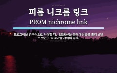 피롬 니크롬 링크 뜻: 프로그램을 영구적으로 저장할 때, 니크롬선을 통해 대전류를 흘려 보낼 수 있는 기억 소자들