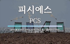 피시에스 뜻: 데이터를 표현하기 위하여 카드에 구멍을 뚫고 입출력이나 기억의 수단으로 이용하는 방식.