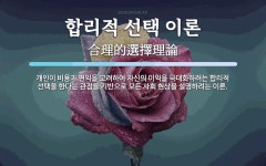 합리적 선택 이론 뜻: 개인이 비용과 편익을 고려하여 자신의 이익을 극대화하려는 합리적 선택을 한다는 관점을 기반