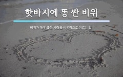 신북경우싼코위 | 핫바지에 똥 싼 비위 뜻: 비위가 매우 좋은 사람을 비유적으로 이르는 말.