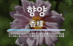 향양 뜻: 건축과 조각에 사용하는 기능성 장식. 기물의 대(臺)나 다리에 안정감을 주기 위해서 대나 향양 뜻: 건축과...
