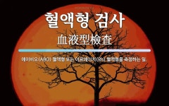 혈액형 검사 뜻: 에이비오(ABO) 혈액형 또는 아르에이치(Rh) 혈액형을 측정하는 일.