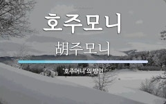 호주모니 뜻: ‘호주머니’의 방언