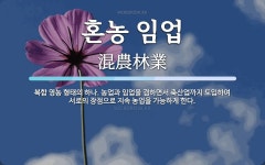 혼농 임업 뜻: 복합 영농 형태의 하나. 농업과 임업을 겸하면서 축산업까지 도입하여 서로의 장점으로 지속 혼농 임업 뜻: 복합 영농 형태의 하나....