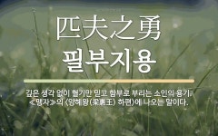 필주종합상사 | 한자: 匹夫之勇 (필부지용)