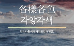 한자: 各樣各色 (각양각색)
